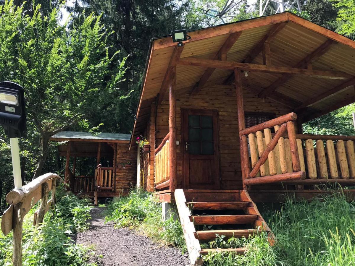 Cabanute Si Camping Dracula Capatineni-Paminteni Exterior photo