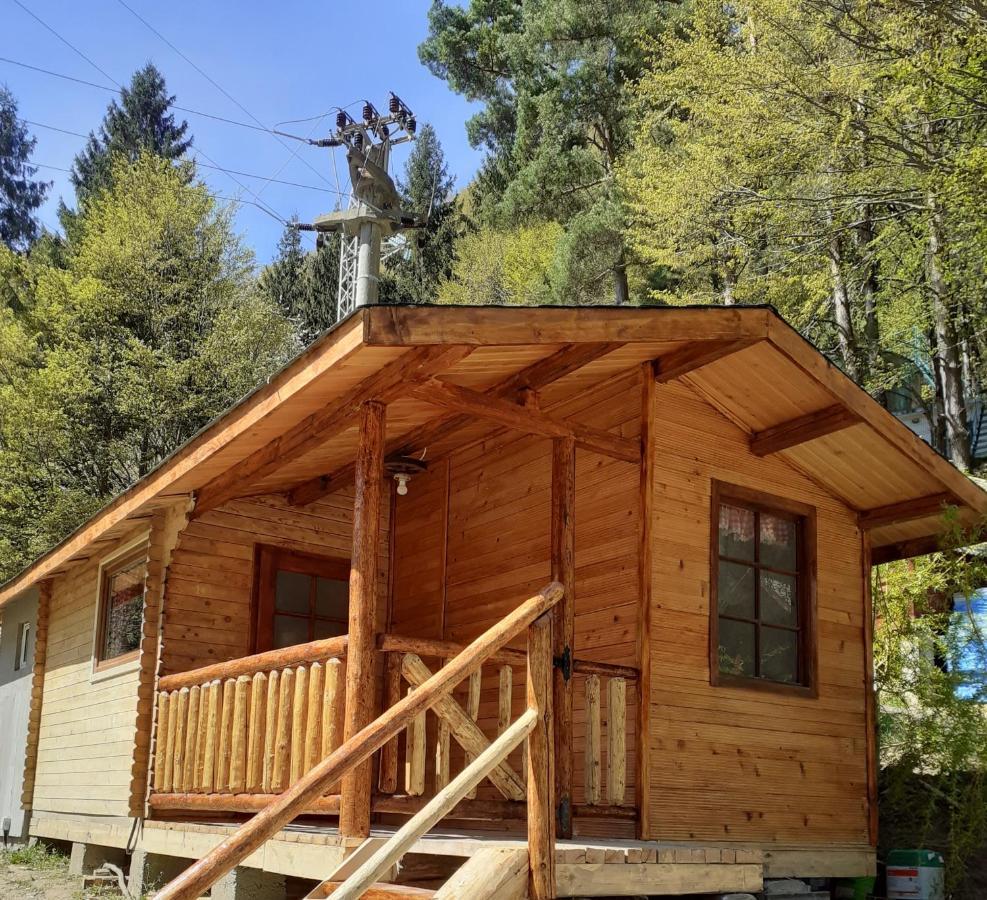 Cabanute Si Camping Dracula Capatineni-Paminteni Exterior photo